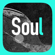 Soulv3.8.37 苹果版