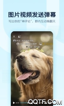 qq2013ɰ汾v4.7.0 ʷ汾