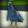 Ӻֱײģ°(Pigeon Rampage Simulator)v1.0 ׿