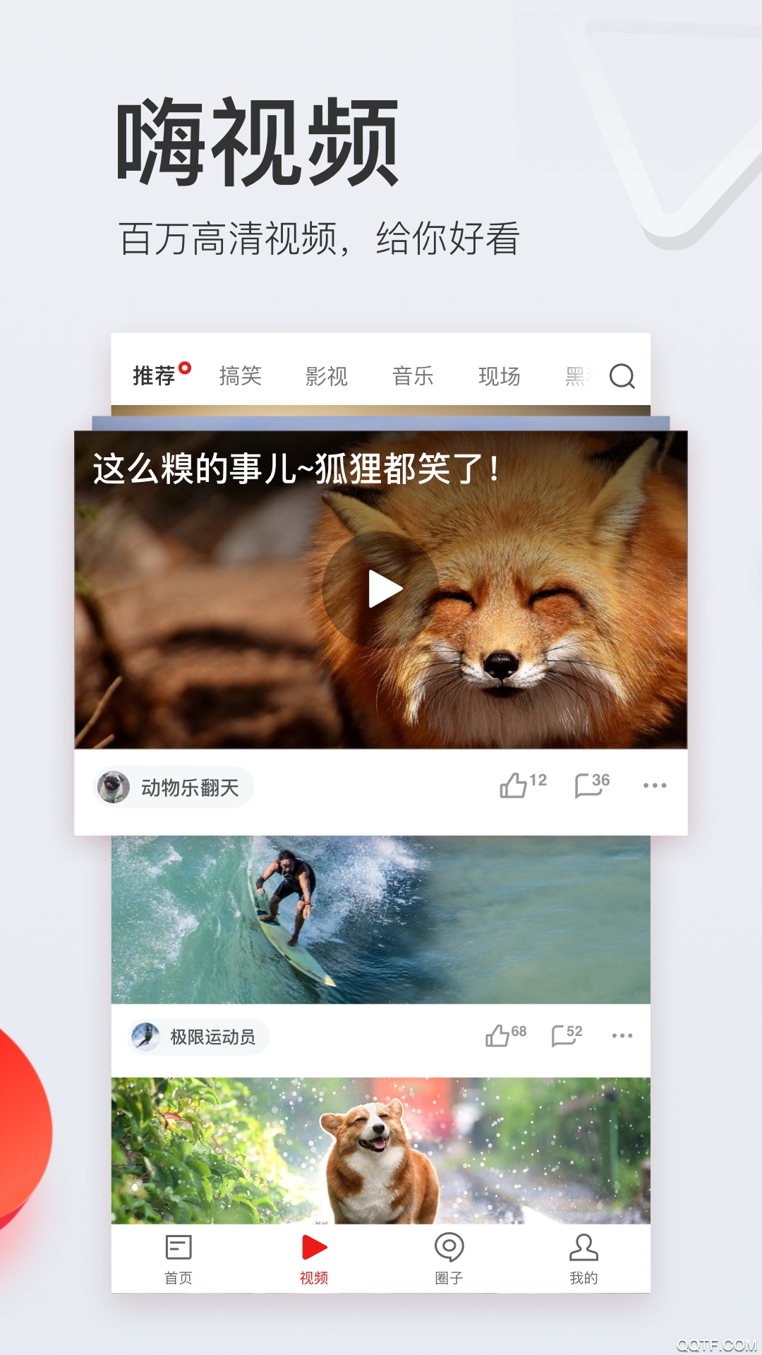 NetEase NewsŹٷͻv85.5 ׿