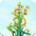 ԰v1.6 ׿