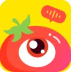 番茄派对app最新版v1.0.4 官方版