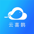 云喜鹊app手机版v1.0.0 安卓版