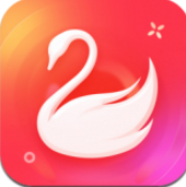 天鹅到家app安卓版v8.3.5.0 官方版