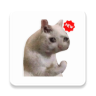 Stickers Cats Memes小猫表情包动态图片appv1.7.0 最新版