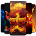 Phoenix Wallpaper(�P凰壁�app安卓版)v2.4 手�C版