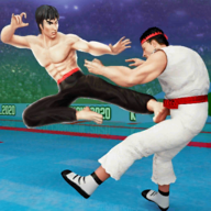 Karate Fighter标记队空手道战虎破解版v2.6.8 最新版