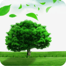 牛气森林app福利版v1.0.0 安卓版