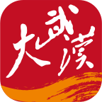 大武汉app官方版v6.4.1 安卓版
