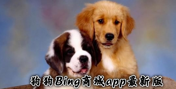 Bing̳app°