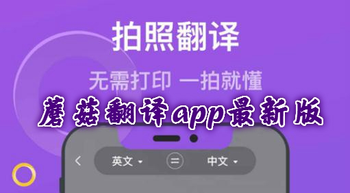 蘑菇翻译app最新版