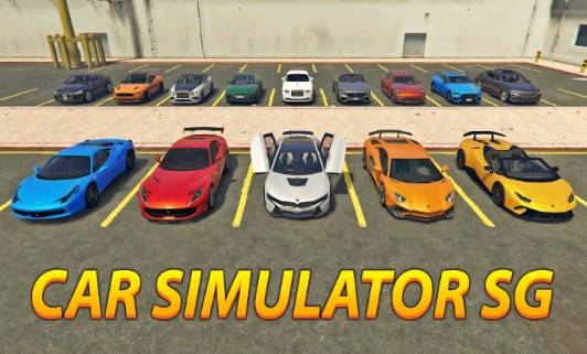 Car Simulator SGģsgٷv1.0 °