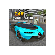 Car Simulator SGģsgٷv1.0 °