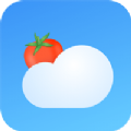 番茄天����r�A��app安卓版v2.0.0 最新版