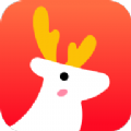 有鹿生活app最新版v1.0.9 手�C版