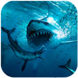 巨鲨模拟器官方版Megalodon Simulatorv1.0.6 最新版