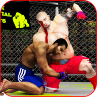 Martial Arts Fighting凯奇战役官方版v1.4.1 最新版
