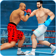 Ninja Punch Boxing Warrior忍者拳��鹗抗俜桨�v3.2.4 最新版