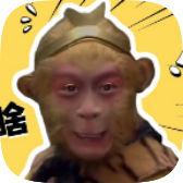电报悟空盒app最新版(电报猴子盒)