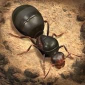 The Ants小小蚁国国际版v3.25.0 最新版