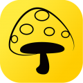 蘑菇丁app手机版v3.4.1 最新版