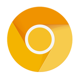 Chrome Canary安卓版v119.0.6003.0 安卓版