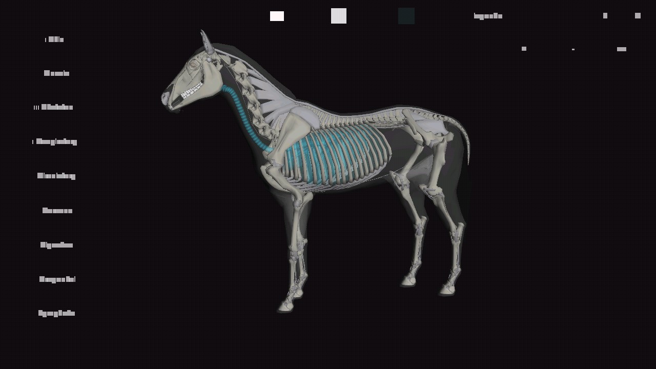 ƥģ3dٷ3D Horse Anatomy Softwarev1.2 °