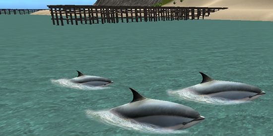 ģ3D°(Ocean Dolphin Simulator 3D)