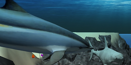 ģ3D°(Ocean Dolphin Simulator 3D)