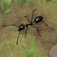 ��帝��模�M器手�C版(Ant Empire Simulator)v1.0.1 官方版