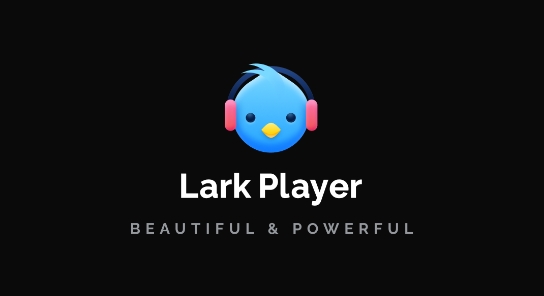 Lark Player°(񲥷)