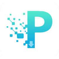 P2P下载器app官方版v1.2.5 最新版