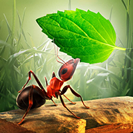 Little Ant Colony小小�群破解版�o限金�虐�v3.1 最新版