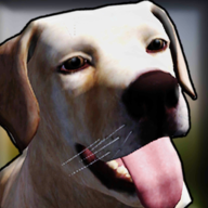 狗收容所模�M器3D手游最新版v6.0 正版