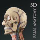 掌上3D解剖app官方版v2.0.0 最新版