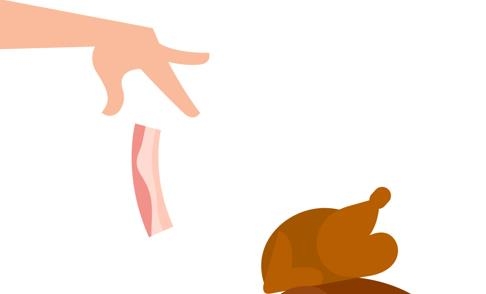 Ϸ°(Bacon)