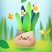 ڴֲ°汾(Pocket Plants)v2.10.4 ٷ