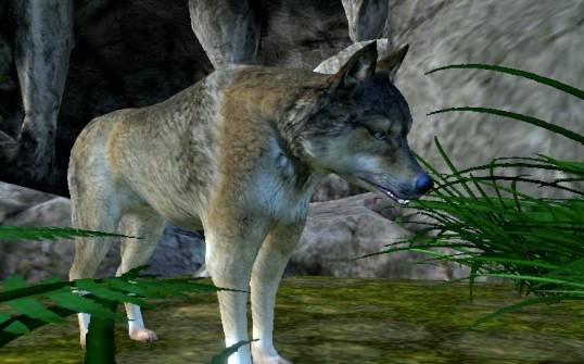 Wolf Simulator Evolutionģٷ