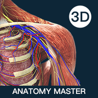解剖大师app安卓版 v4.0.0 最新版