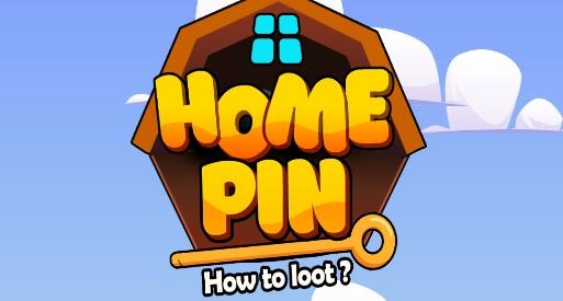 뽫Ϸ(Home Pin)