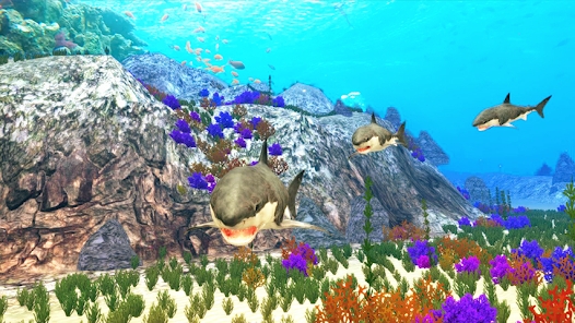 ģ޳ٷ(The Shark)v1.0.8 °