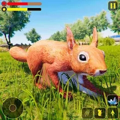 野生松鼠家庭模拟3D最新版(Wild Squirrel Family Sim 3D)v1.4 安卓版