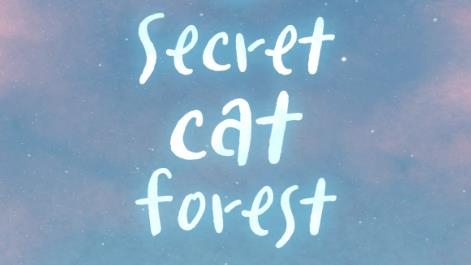 Secret Cat ForestϷ°