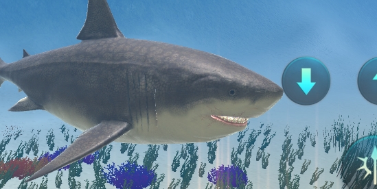 ޳ģϷٷMegalodon Simulator