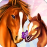 ҵ°(Horse Paradise)v2.03 ׿