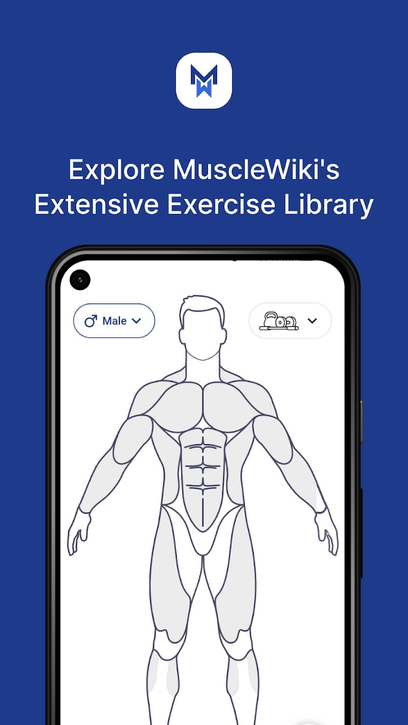 MuscleWiki׿APPv2.4.1 °