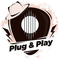 弴Ϸ(Plug & Play)v1.4.75.1 °