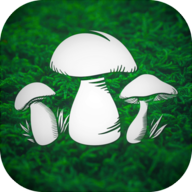 真实采蘑菇模拟器游戏官方版The Mushroom Hunterv1.9 最新版