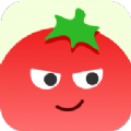 番茄相册大师app最新版