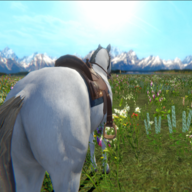 今天你骑马了吗游戏官方版 v0.12 最新版